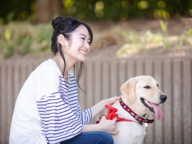 犬と女性